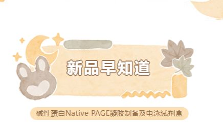 新品早知道|碱性蛋白Native PAGE凝胶制备及电泳试剂盒