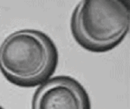 【点成干货-微流控】微流体应用说明