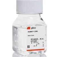 GlutaMAX™ 补充剂