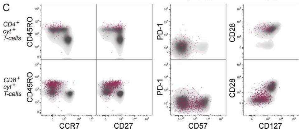 OMIP-001:16色检测T细胞表型及其产生的细胞因子