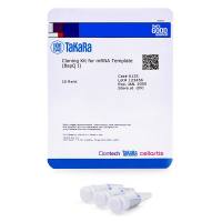 mRNA模板制备Cloning Kit for mRNA Template