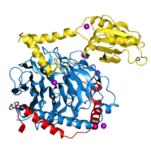 抗 Protein G 多克隆抗体 | Anti-Protein G Polyclonal Antibody