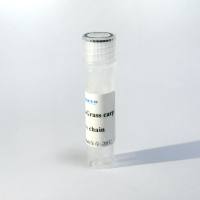 【鱼抗】鼠抗草鱼IgM单克隆抗体（Mouse anti-Grass carp IgM Monoclonal Antibody）