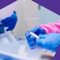 稳定性测试服务