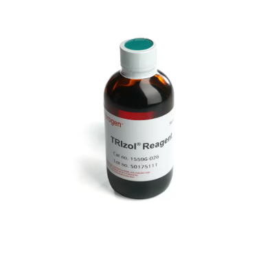 TRIzol invitrogen 货号15596026CN产品图