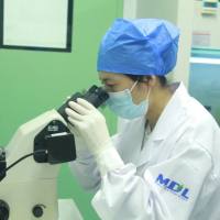 IBD 模型构建/炎症性肠病模型构建