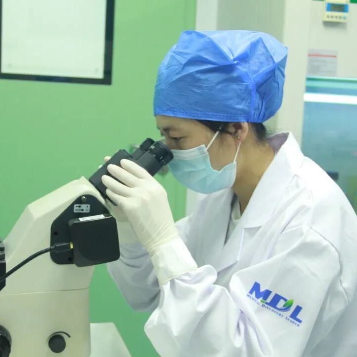 前列腺癌动物模型