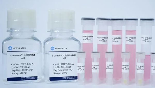 产品上新，买一送一丨 “发育级” 血管化肺/肠类器官试剂盒震撼上市，环特助力突破类器官血管化瓶颈！