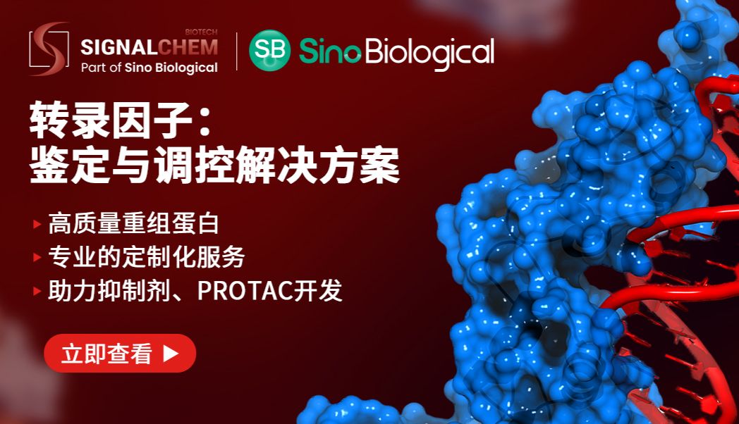 “不可成药”转录因子综述：从结构无序到精准靶向