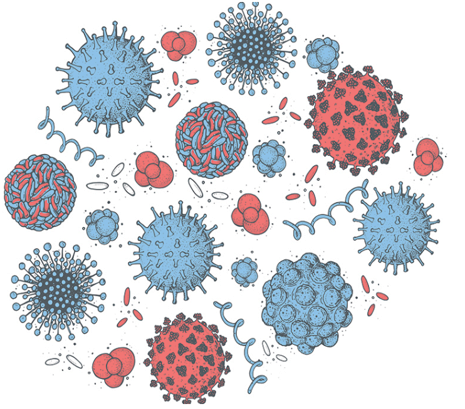 2025年病毒学研究工具（抗体和蛋白）