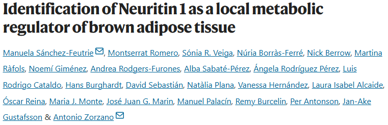 【25年9月文献战报】Bioss 抗体新增高分文献精彩呈现