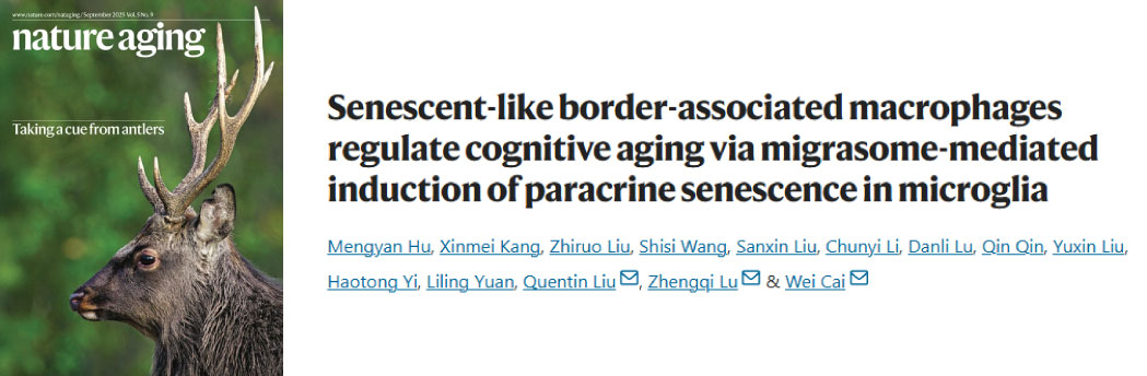 【25年9月文献战报】Bioss 抗体新增高分文献精彩呈现