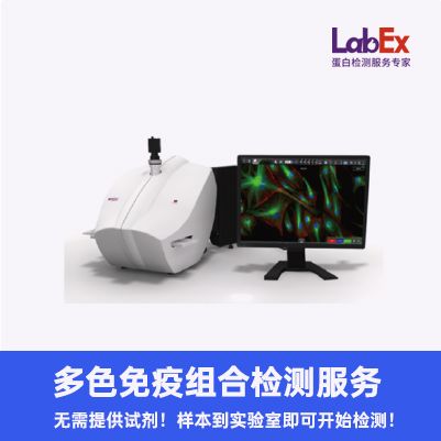 PLA可视化蛋白互作--检测服务--仅提供样本