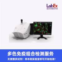 PLA可视化蛋白互作--检测服务--仅提供样本