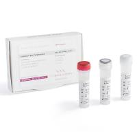 IsoFast® Bst 一步法预混液