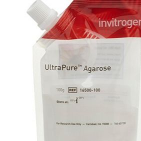 UltraPure琼脂糖