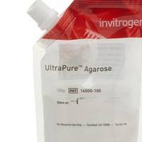 UltraPure琼脂糖