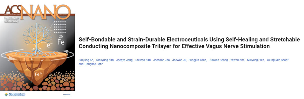 【25年9月文献战报】Bioss 抗体新增高分文献精彩呈现