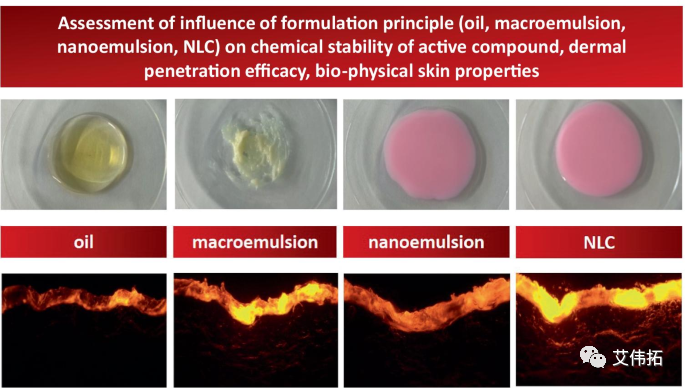 LNP皮肤递送载体的优越配方？