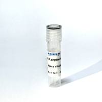 【鱼抗】鼠抗加州鲈IgM单克隆抗体Mouse anti-Largemouth bass IgM Monoclonal Antibody