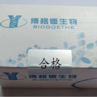 土壤/粪便 DNA 提取试剂盒