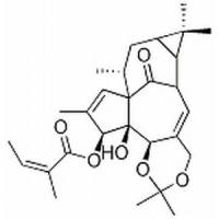巨大戟醇-5,20-缩丙 酮-3-当归酸酯