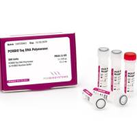 PCRBIO Taq 预混液 红色