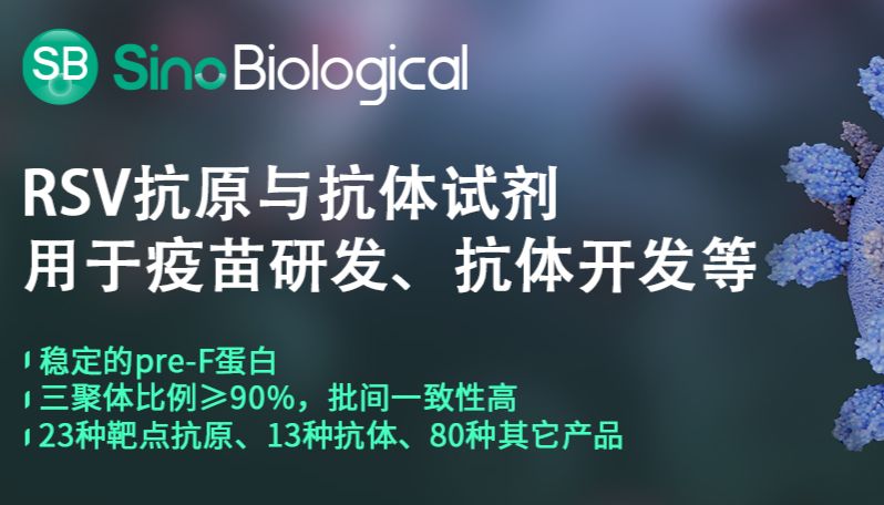 以pre-F蛋白为核心，深度解析RSV病毒结构及预防措施新进展