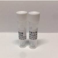 庆大霉素抗体 庆大霉素单抗 庆大霉素单克隆抗体 GM抗体 Gentamicin antibody