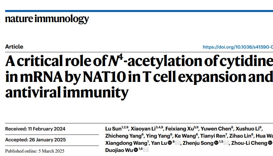【IF 27.7】揭秘T细胞抗病毒免疫的关键机制 ——Absin多肽助力《Nature Immunology》重磅研究
