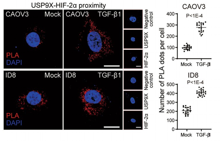 科研人蛋白互作技术的“GPT-5”升级：PLA 三大热点应用一次看懂！