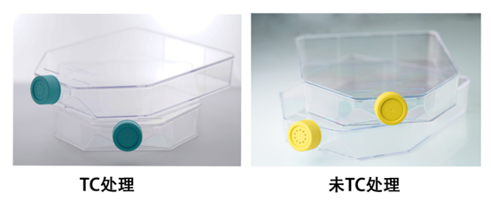 新品上市 | T400细胞培养瓶上线，大面积高效培养新选择！