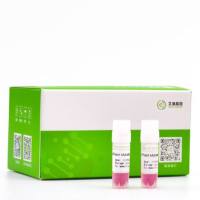 G6PD（c.1388G&gt;A)点突变K562细胞稳转株