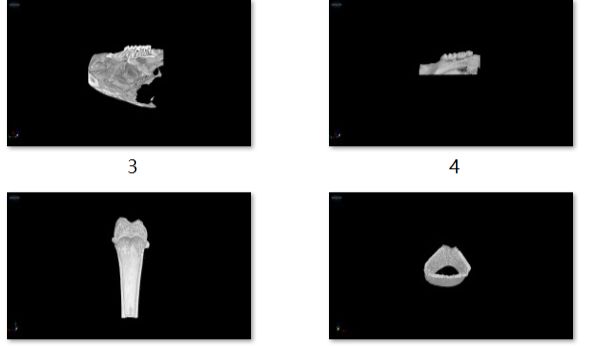 MicroCT&nbsp;骨组织扫描实验服务预约中..........