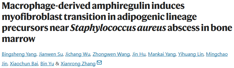 【25年9月文献战报】Bioss 抗体新增高分文献精彩呈现
