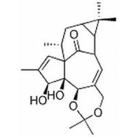 巨大戟醇-5,20-缩丙 酮