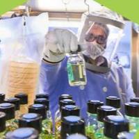 细胞和病毒库制造与测试