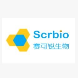 Angiopep-2 PEG系列