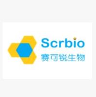 Angiopep-2 PEG系列