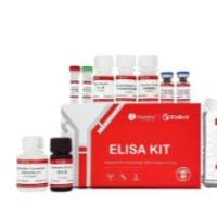 ElaBoXTM小鼠趋化因子配体5(CCL5)ELISA检测试剂盒