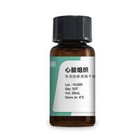 心脏组织单细胞解离酶