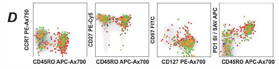 OMIP-002:抗原特异性CD8+T细胞的表型分析