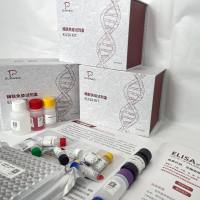 鱼（Fish）雌二醇（E2）ELISA检测试剂盒