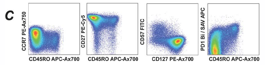 OMIP-002:抗原特异性CD8+T细胞的表型分析