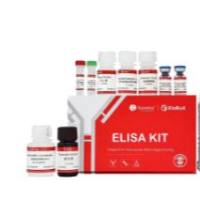 ElaBoXTM小鼠干扰素β检测试剂盒