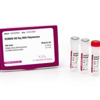 PCRBIO HS Taq DNA 聚合酶