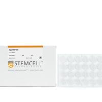 AggreWell™800 培养板