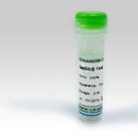 丙酉同酸氧化酶(PYOD);9001-96-1