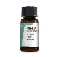 肝脏组织单细胞解离酶