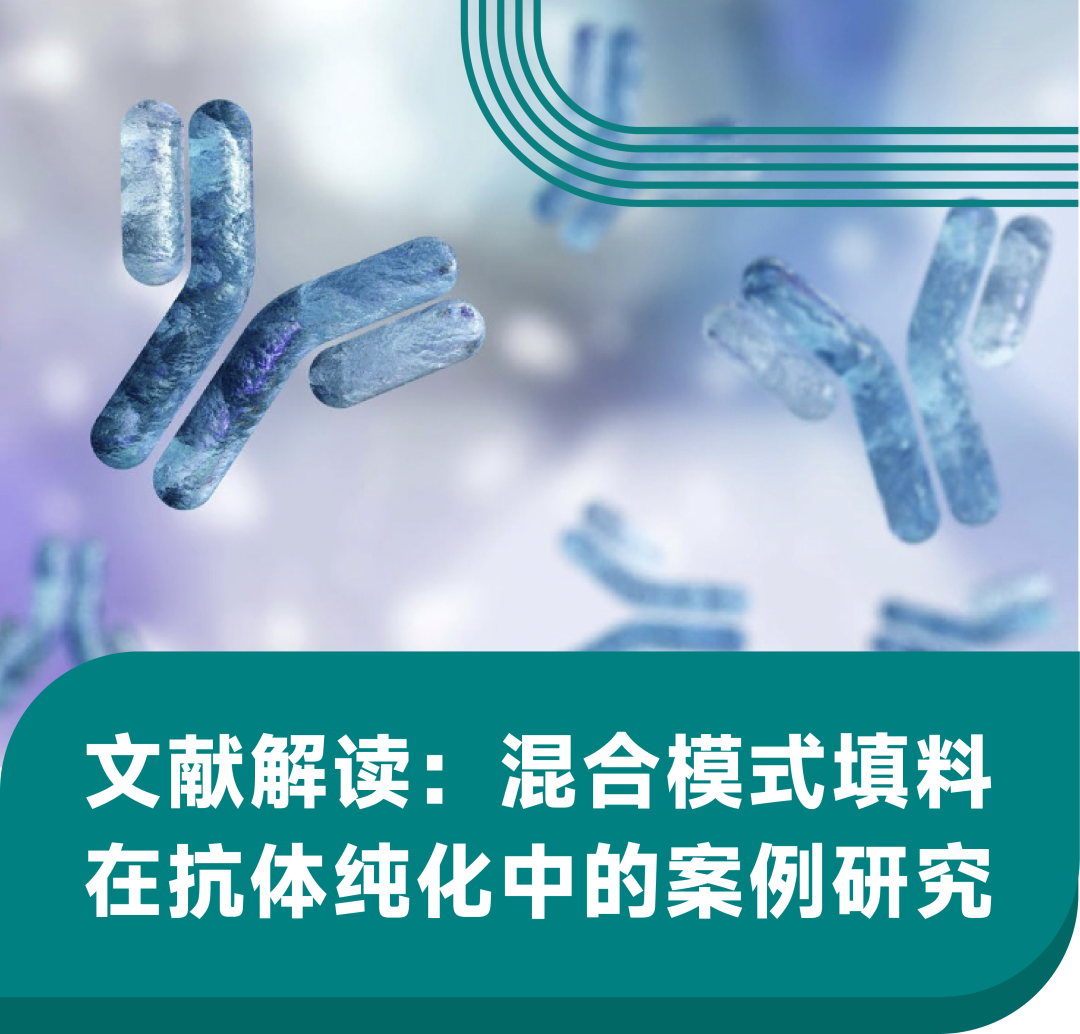 文献解读︱混合模式填料在抗体纯化中的案例研究